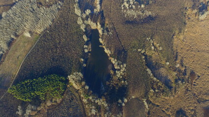 Aerial Autumn Landscape with Forest Textures and a Hidden Pond