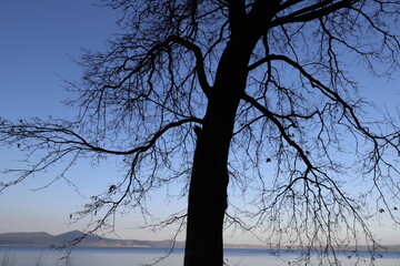 lago bracciano