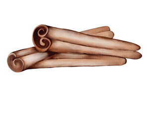 Watercolor rendering of cinnamon sticks on a white background showcasing natural beauty