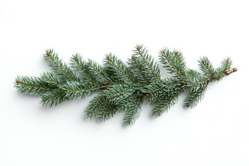 Horizontal Christmas tree branch isolated on white background