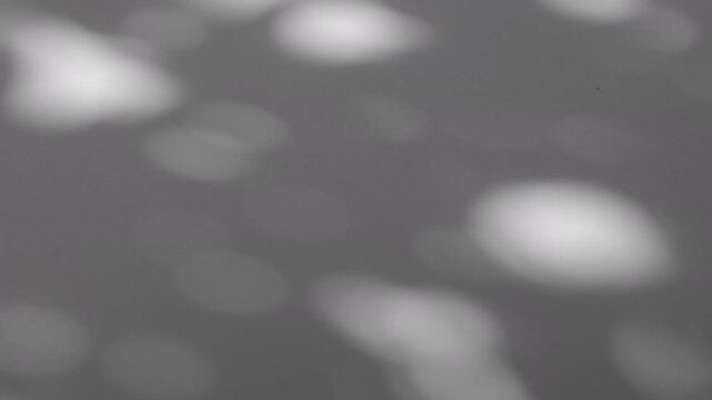 Wall interior background, studio and backdrops show products.with shadow from window color white and grey. background for text insertion and presentation product	