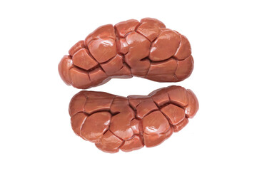 Beef kidney, fresh meat, beef, raw meat on white background, isolated