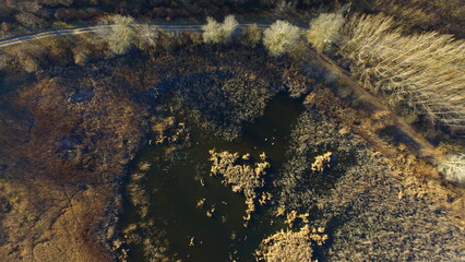 Aerial Autumn Landscape with Forest Textures and a Hidden Pond