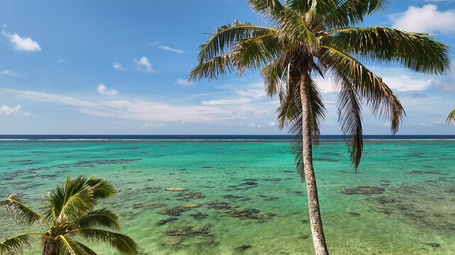 Aerial view of tropical beach with palm trees and clear blue ocean, Avarua, Cook Islands.