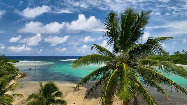 Aerial view of a tropical beach with palm trees and clear blue water under a sunny sky, Avarua, Cook Islands.