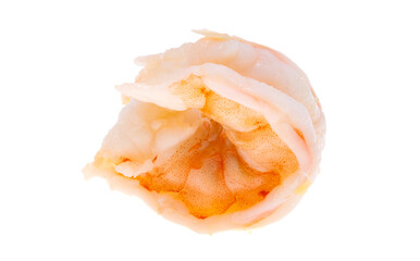 shrimp meat isolated
