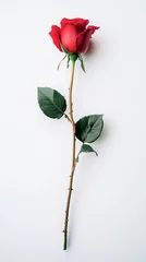 Fototapete Rund red rose on a white background © Nicolai