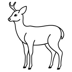 line art of deer vector silhouette outline animal 