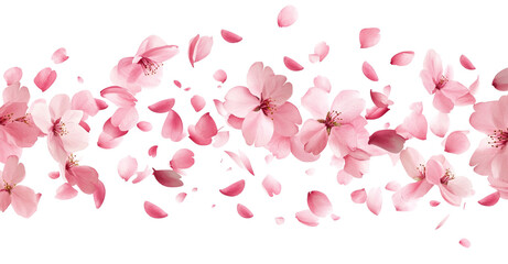 Cherry blossom petals flying in the wind, pink cherry blossoms on white background