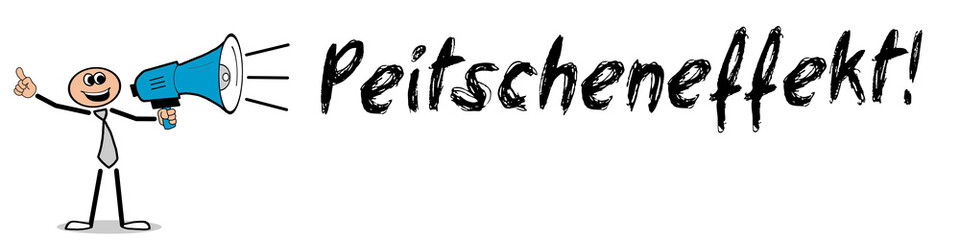 Peitscheneffekt!