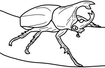 illustration of a bug