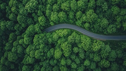 Aerial View of Winding Road Through Lush Green Forest