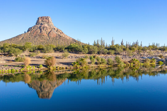 Aerial view of pilon hill surrounded by serene desert landscape with water reflection and cacti, Comondu Municipality, Mexico.