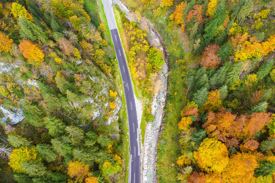Aerial view of a winding road through a vibrant forest in autumn, Liezen, Austria.