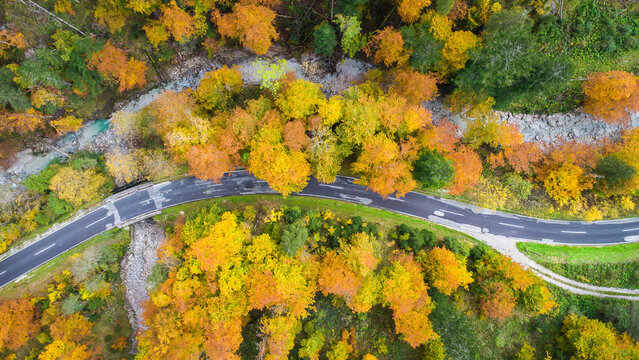 Aerial view of winding road through colorful autumn trees in tranquil forest, Kalkalpen, Styria, Austria.
