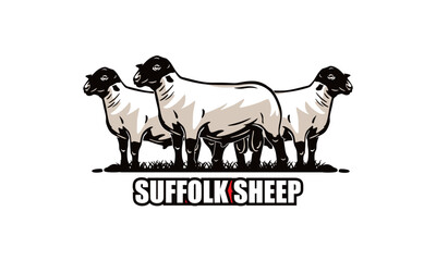 big and healthy suffolk sheep standing, silhouette of strong ram vector illustrations