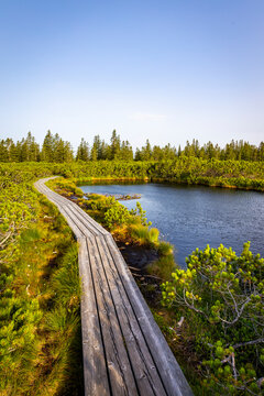 Aerial view of serene Lovrenska jezera lake with scenic boardwalk and tranquil forest, Maribor, Slovenia.