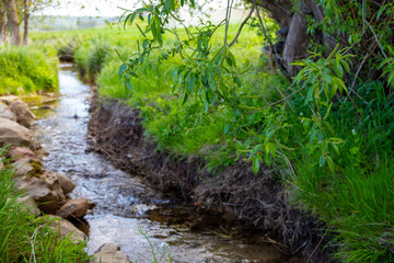 Small stream with small rocks in it green on the outside