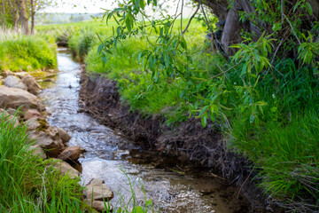 Small stream with small rocks in it green on the outside