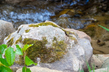 Small stream with small rocks in it green on the outside