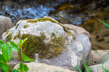 Small stream with small rocks in it green on the outside