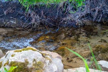Small stream with small rocks in it green on the outside
