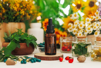 A dropper bottle with essential oil or serum, a bowl with mint and lemon balm leaves, a jar with infusion or herbal oil, a jar with rose hips. Alternative medicine.