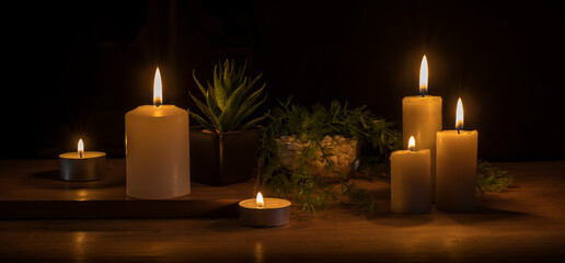 lit candles and plants in the dark composing a decoration on the table