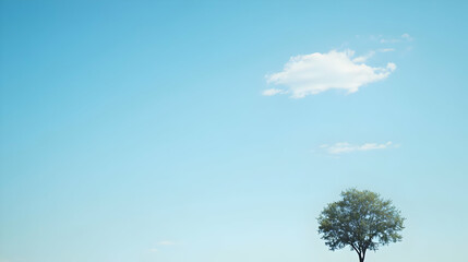 A Single Tree Standing Tall Against a Clear Blue Sky with White Clouds