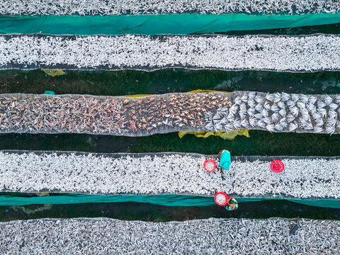 Aerial view of drying fish on traditional racks with people working in rows, Chittagong, Bangladesh.