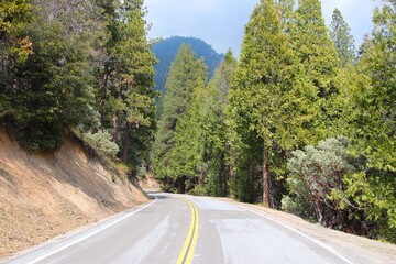 Road in Giant Sequoia National Monument