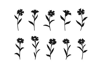 Vector illustration of cornflower in simple hand drawn and linocut style. Simple contour vector illustration for cosmetics, postcard and pattern.