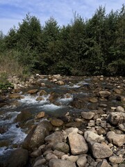 A scenic river flowing through a rocky bed, surrounded by lush trees and bushes under a clear blue sky in a peaceful setting.
