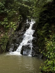 Small forest waterfall cascading over rocks into a calm pool, surrounded by green plants and moss in a peaceful woodland.