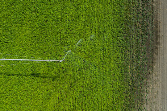 Aerial view of lush green agricultural fields with irrigation patterns, Grant County, United States.