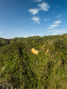 Aerial view of serene Adan Beach surrounded by lush forest and hills under a picturesque sky, Kunigami Son, Japan.