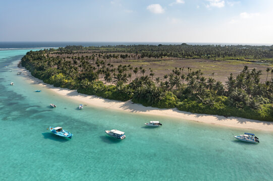 Aerial view of a beautiful local island with palm trees and a turquoise lagoon, Thoddoo, Maldives.