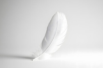 A white feather floating against a solid black background