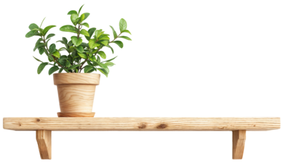 Minimalist Wooden Shelf with Potted Green Plant on Transparent Background - Indoor Plant Decor for Modern and Natural Home Interiors