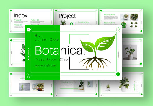 Botanical Presentation Layout