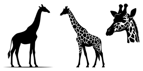 giraffe illustration, giraffe silhouette set, Set of giraffe black silhouettes illustration, giraffe icon illustration, giraffe, giraffe silhouette vector on white, Silhouette of a giraffe isolated