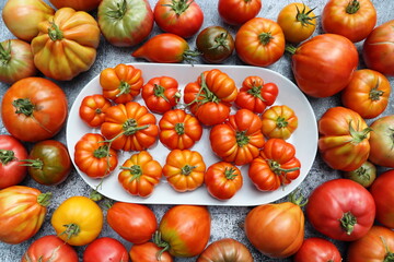Fresh colorful ripe fall or summer heirloom variety tomatoes over table background. Harvest and cooking tomato sauce concept