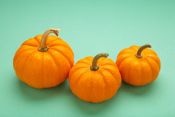 Mini orange pumpkins on mint background.