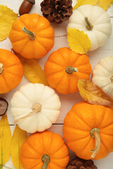 Autumn composition. White and orange pumpkin with autumn leaves on white background. Thanksgiving day