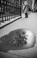 Reflections in a puddle, street photography in Paris