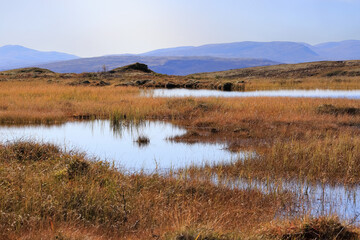 Fall in the Forollhogna National Park, Norway