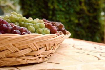 Frische, Saftige Trauben vom Wochenmarkt, gesundes Obst im Obstkorb
