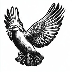 Fototapeta premium A black and white illustration of a dove in flight with its wings spread wide.