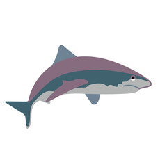 Conceptual illustration of Tiger Shark.