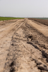 car tracks on a sandy road in a field, close-up